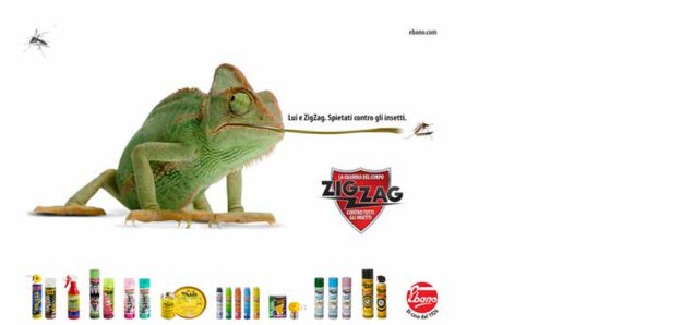 Pubblicità Zig Zag con il camaleonte, 2009 (p. 119, fig. 6)