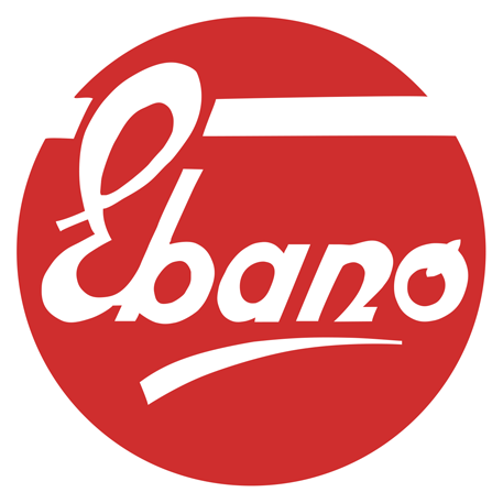 Logo attuale Ebano